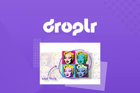 How To Cancel Droplr | 3 Ways You Can Try!